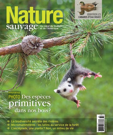 magazine nature sauvage   ete   nature sauvage issuu