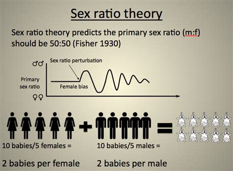 primary sex ratio amature housewives