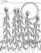 Coloring Pages Corn Fall Field Stalks Drawing Printable Doodle Cornstalks Adult Alley Kids Getdrawings Simple sketch template