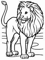 Lions Tigers Animal 1792 sketch template