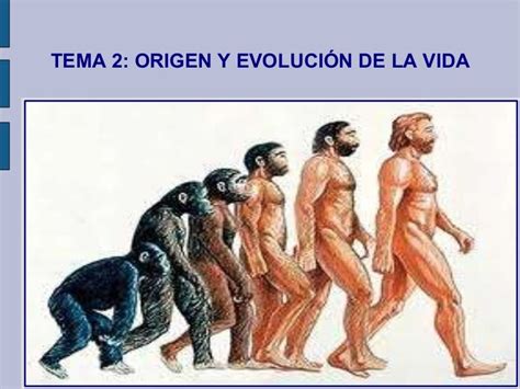 Tema 2 Origen Y Evolución De La Vida