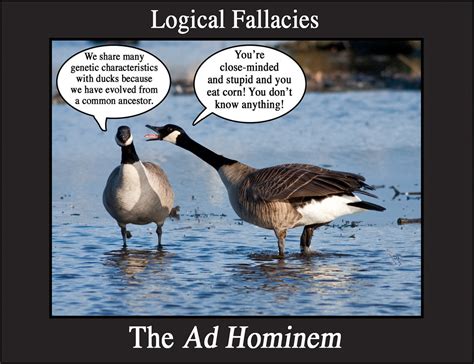 logical fallacies        common logical flickr