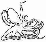 Octopus Gurita Mewarnai Kraken Binatang Putra Putri Lucu Coloringbay Doghousemusic sketch template
