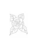 Camellia Coloring Leaves Four Flowers Small sketch template