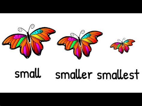 small smaller smallestsmall smaller smallest concept  kids comparison  kids youtube