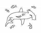Shark Hammerhead Coloring Pages Color Drawing Sharknado Whale Goblin Printable Kids Jaws Print Scary Great Tiger Getcolorings Getdrawings Drawings Bell sketch template