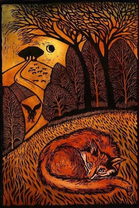resting fox ian macculloch art books paper pinterest