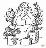 Florist Coloring Pages Flower Color Garden People Printable Professions sketch template
