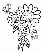 Coloring Sunflower Pages Butterflies Surrounded Butterfly Girls Flowers Sunflowers Coloringpagesfortoddlers Beautiful Choose Board Flower sketch template