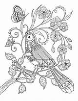 Coloring Pages Adult Birds Bird Printable Wings Book Donner Colouring Adults Pour Coloriage Zentangle Ailes Des Behance Color Mandala Sheets sketch template