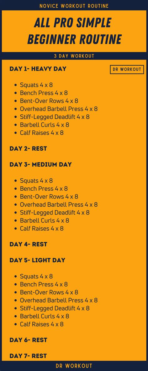 pro simple beginner routine  spreadsheet dr workout