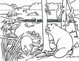 Ecosystem Coloring Pages Beaver Dam Getdrawings Getcolorings Color sketch template