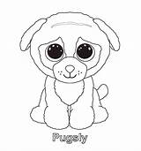 Coloring Beanie Ty Boo Pugsly sketch template