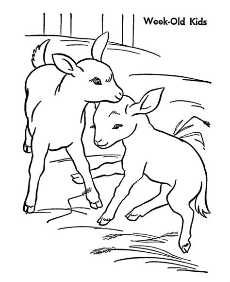 farm animal coloring page goat goat kids camping coloring pages