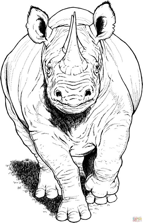 rhinos coloring pages coloring home