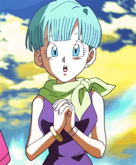 dragon ball s bulma briefs s