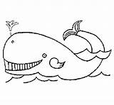 Whale Coloring sketch template