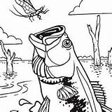 Coloring Pages Fish Bass Fishing Color Colouring Printable Sheets Adult Kids Cool Sheet Deer Water Drawing Getcolorings Doodle Patterns Wood sketch template