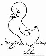 Coloring Farm Pages Animal Baby Animals Duck Duckling Cute Printable Honkingdonkey Kids Print sketch template