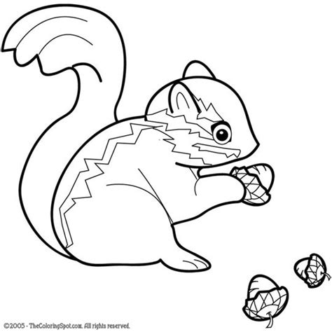 chipmunk coloring page  audio stories  kids  coloring pages