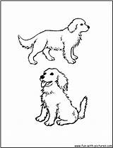 Coloring Golden Retriever Pages Printable Puppy Library Clipart Dog sketch template