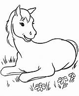 Coloring Horse Pages Colt Printable Print sketch template