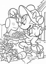 Minnie Flowers Mouse Watering Coloring Printable Pages Description sketch template