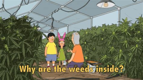 bobs burgers pictures tumblr