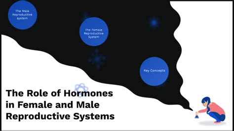 For Prezi Video The Role Of Hormones In Female And Male Reproductive