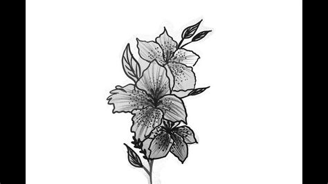 beautiful illustrated flower drawing ideas easy drawing cool