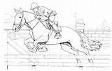 Horses Chevaux Cavalli Saltando Colorat Caballo Zawody Cheval Cai Konne Caballos Imprimer Kolorowanka Coloriages Dibujito Jockey Druku Gulli Animaux Konji sketch template