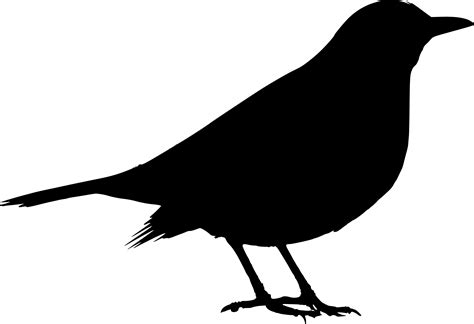 black bird outline clipart
