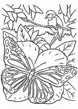 Papillon Imprimer Oiseau Papillons Coloriages Butterflies Insectes Schmetterlinge Hugolescargot Malvorlagen Mandalas Branche sketch template