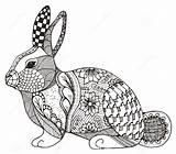 Zentangle Rabbit Coloring Pages Vector Conejo Illustration Animal Zen Stock Pattern Stylized Abstract Bunny Hand Freehand Ornate Drawn Pencil Colouring sketch template