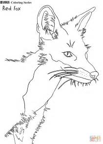 coloring pages foxes gif