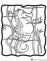 Coloring Seahorse Pages Seahorses Kids Animal Print Popular sketch template