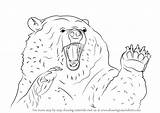 Bear Grizzly Angry Drawing Draw Step Bears Tutorials Paintingvalley Learn Drawings Drawingtutorials101 sketch template