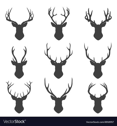 set  deer silhouettes royalty  vector image