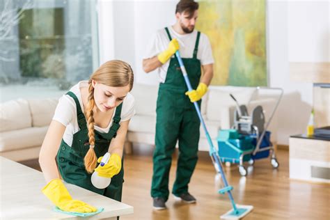 reasons    hire  professional cleaner   service meets  absolute