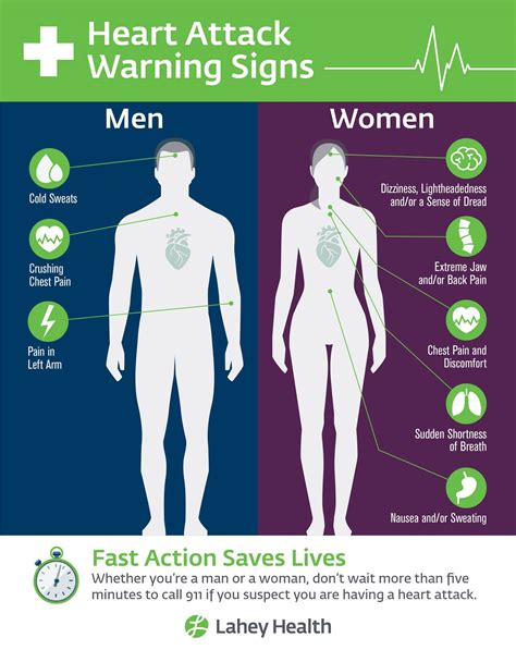 Differences Between Men’s And Women’s Hearts Lahey Health
