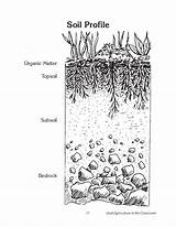 Soil Topsoil Bedrock sketch template