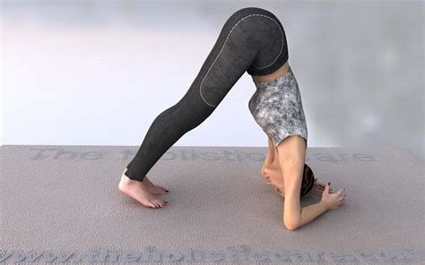 makarasana dolphin yoga pose  holistic care