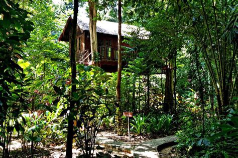 jungle house spending  night   jungle thailandmagazinecom