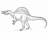 Spinosaurus Educative Supercoloring sketch template