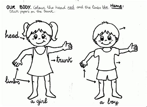 body preschool coloring pages harrumg