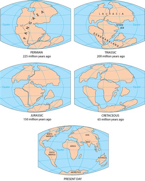 Evidence that gondwanaland existed