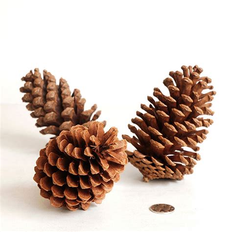 big size christmas tree pine cones pinecone natal kerst new year