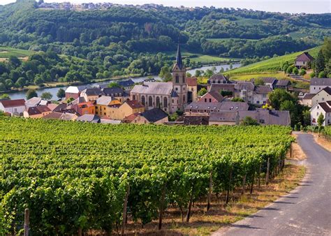 wine tasting   moselle valley audley travel