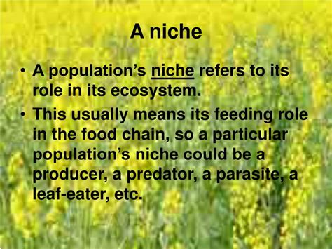 ecological niche powerpoint    id