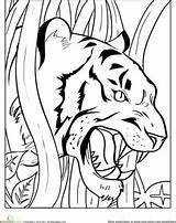 Coloring Tiger Pages Clemson Growling Tigers Animals Animal Cub Wild Angry Printable Color Sheets Colouring Kids Teeth Cat Worksheet Painting sketch template